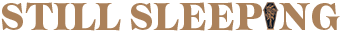 Still Sleeping Logo